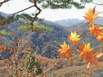 末日预言未应验 日本国内有何反应,末日预言有哪些